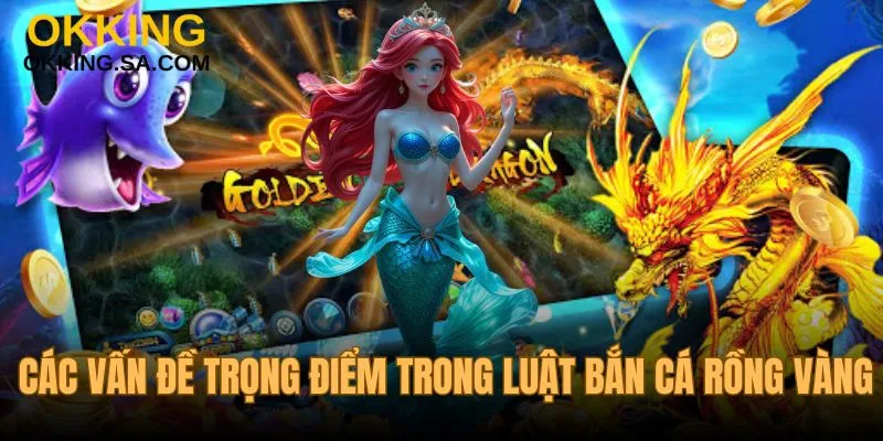 Các vấn đề trọng điểm trong luật bắn cá rồng vàng