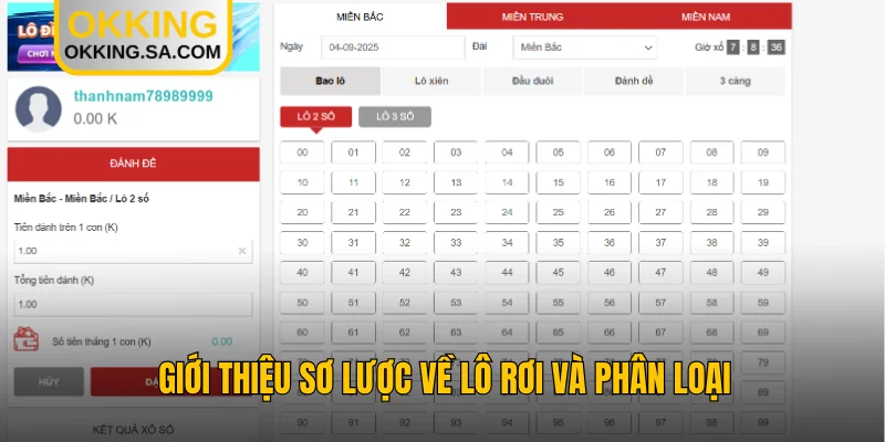 Giới thiệu sơ lược về lô rơi và phân loại