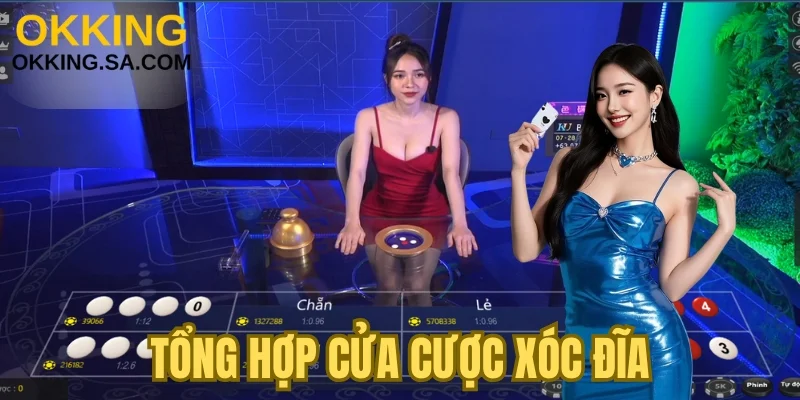 Tổng hợp cửa cược Xóc Đĩa